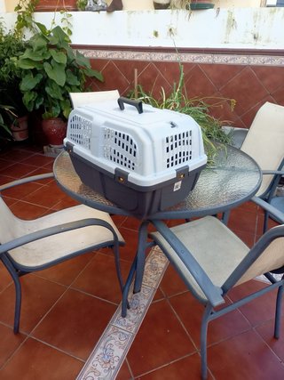 Transportín para perros