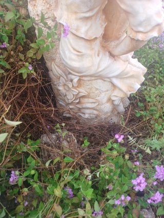 Escultura de jardín mujer con jarrón. Recoger...