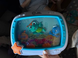 Pantalla monitor bebé pecera Einstein luces