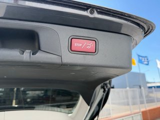 Mercedes-Benz GLC SUV (253) 2022