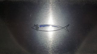 Occhiali da sole blu saraghina