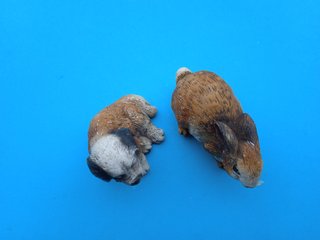 Piccoli Animaletti  (1090)