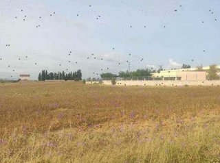 Solar en venta en Cassà de la Selva