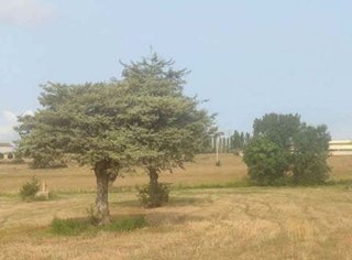 Solar en venta en Cassà de la Selva