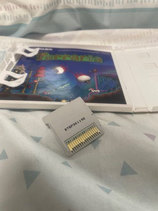 Terraria Nintendo 3DS
