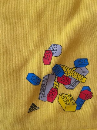 Lote Ropa Lego 8 años.