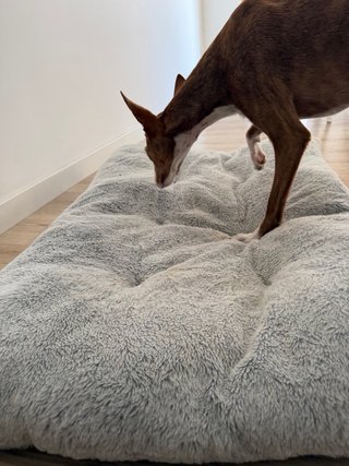 Cama para perro suave gris