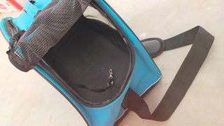 Transportín para mascotas pequeño + Arenero