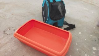 Transportín para mascotas pequeño + Arenero