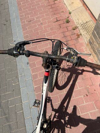 Bicicleta de montaña Oregon BX