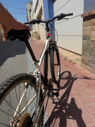 Bicicleta de montaña Oregon BX