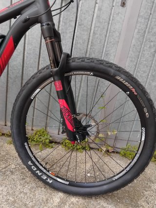 Bici Trek de Motor Bosch