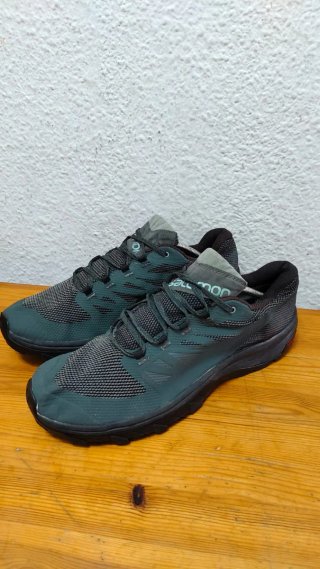 Zapatillas Salomon Gore-Tex Negras/Verdes