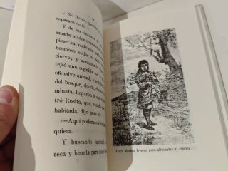 Cuentos extraordinarios