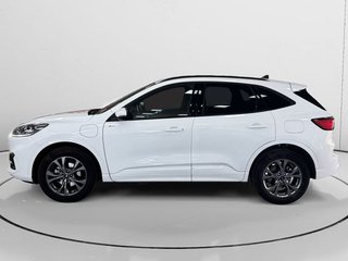 Ford Kuga 2.5 Duratec PHEV ST-Line Auto 165 kW (225 CV)