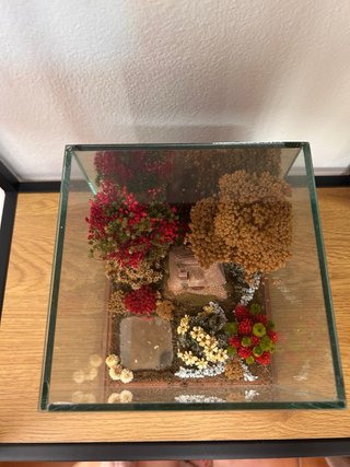 Techetta decorativa con casetta e fiori