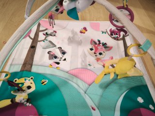 Gimnasio Tiny Love para bebés