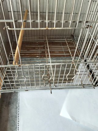 Jaula para pájaros doble