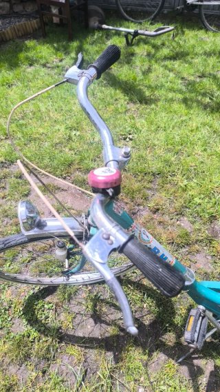 Bicicleta BH Clásica Adulto