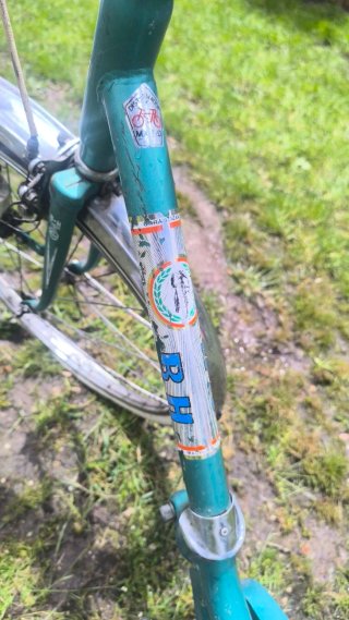 Bicicleta BH Clásica Adulto