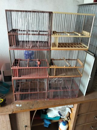 Jaulas para pájaros (6) unidades)