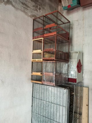 Jaulas para pájaros (6) unidades)