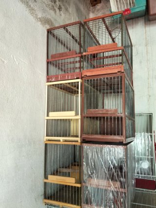 Jaulas para pájaros (6) unidades)