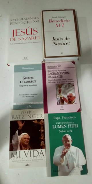 Lote 30 libros sobre Papas