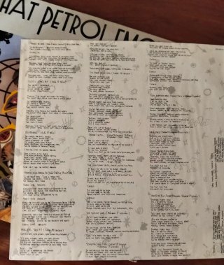 Vinilo LP That Petrol Emotion