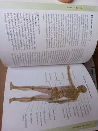 La Biblia del reiki La guía definitiva sobre el...