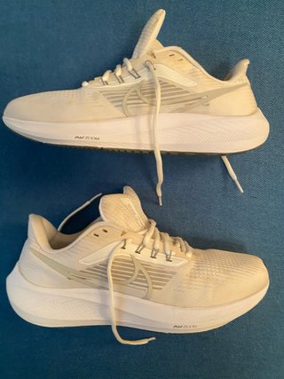 Zapatillas Nike Air Zoom Pegasus 39 Beige/Blanco