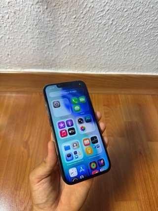 iPhone 13 Pro Grigio Argento