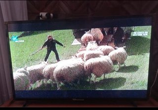 TD SYSTEMS TV LED HD 32 (80 cm)