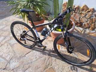 Bicicleta de Montaña