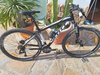 Bicicleta de Montaña