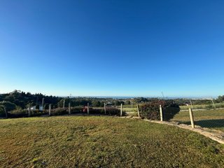 Mantenimiento de Jardines y Piscinas