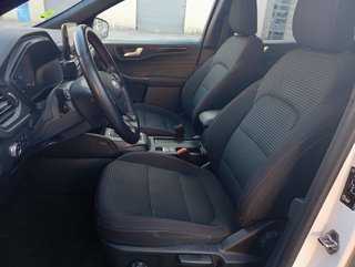 Ford Kuga 2021