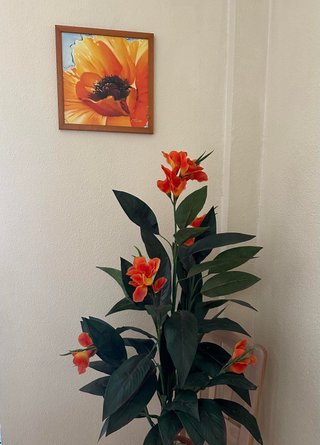 Alfombras decorativas