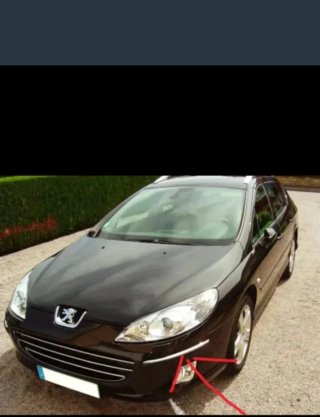 Embellecedor Parachoques Peugeot 407