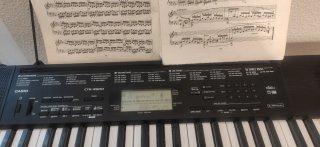 Tastierino Casio CTK 3500