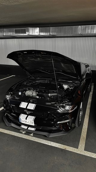 NACIONAL Ford Mustang GT 5.0 450cv 2021