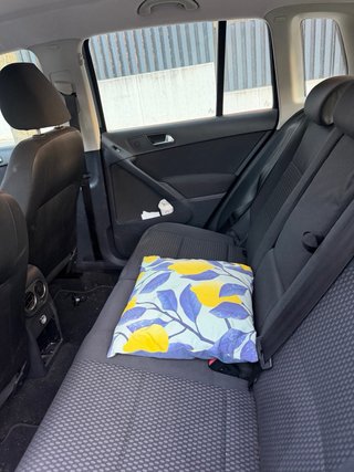 Volkswagen Tiguan 2010