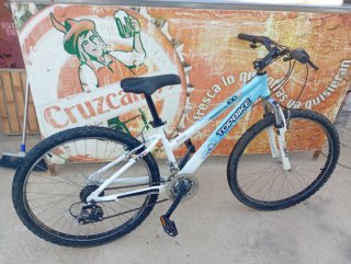 Bicicleta de montaña Topbike 100