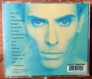 PETER MURPHY - Wild birds. Cd