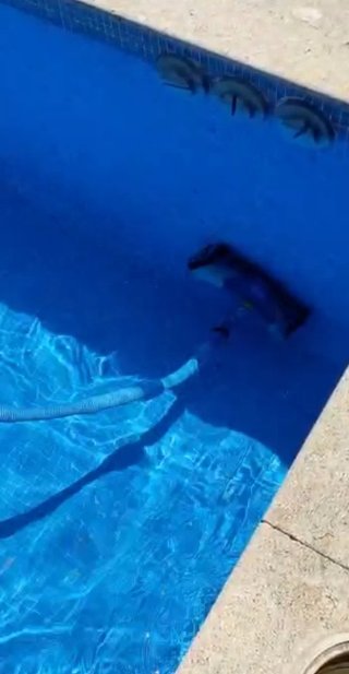 Limpiafondos Zodiac MX9 Hidráulico