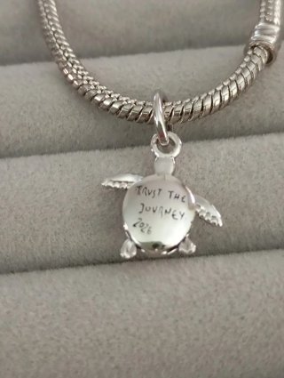 Tortuga Trust the journey 2026 nueva plata