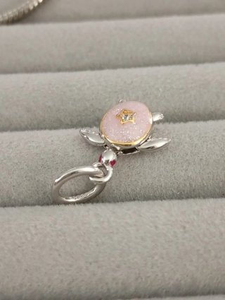 Tortuga Trust the journey 2026 nueva plata