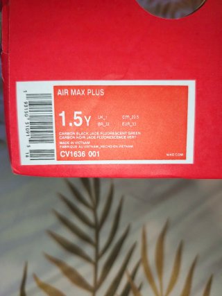 Tênis Nike Air Max Plus TN