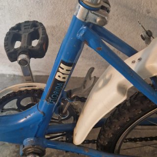 Bicicleta BH Bicicross Florida Azul