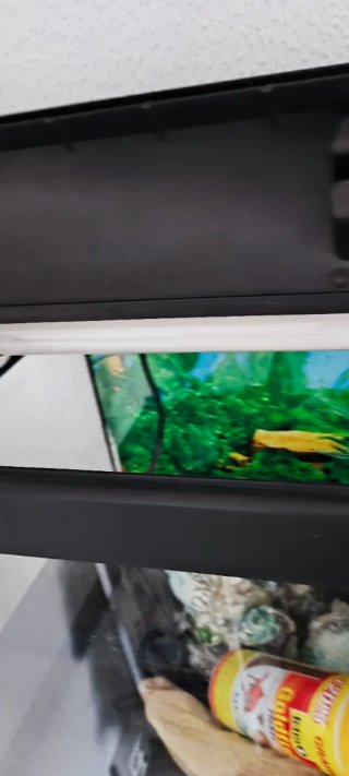 PECERA + LUZ UV Aqua-Light